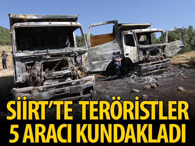 Siirt'te teröristler 5 aracı kundakladı