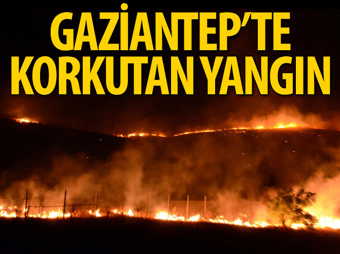 Gaziantep'te korkutan yangın