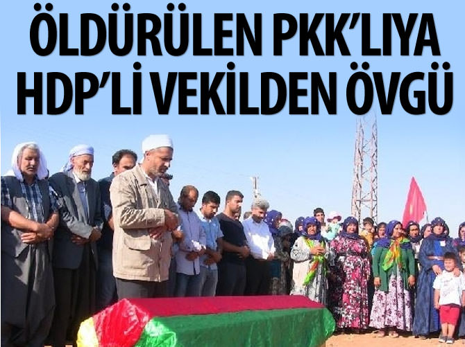 HDP'li vekilden öldürülen PKK'lıya övgü