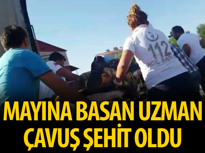 Mayına basan askerimiz şehit düştü