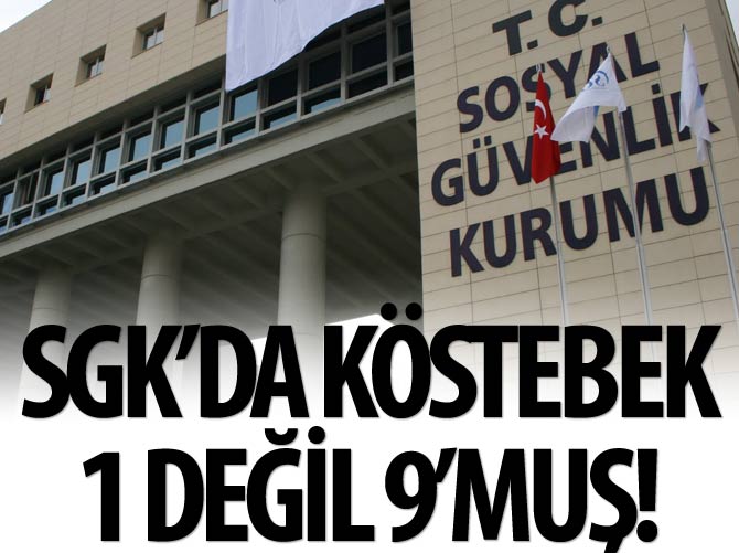 Köstebek 1 değil 9'muş!