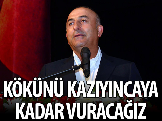 Silah bırakana kadar, kökünü kazıyıncaya kadar vuracağız