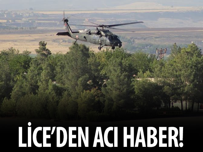 Lice'den acı haber!