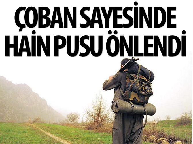 Çobanın uyanıklığı kalleş pusuyu önledi