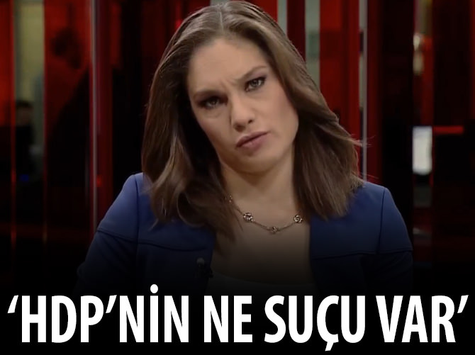 Mengü'den "HDP'nin ne suçu var?" savunması