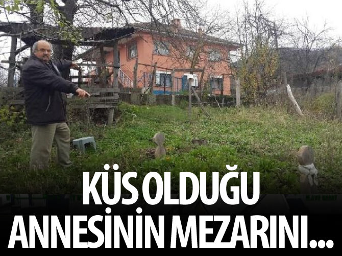 Küs olduğu annesinin mezarını bahçesinden kaldırttı