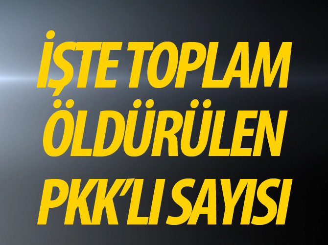 Terör saldırılarında 45 günlük bilanço