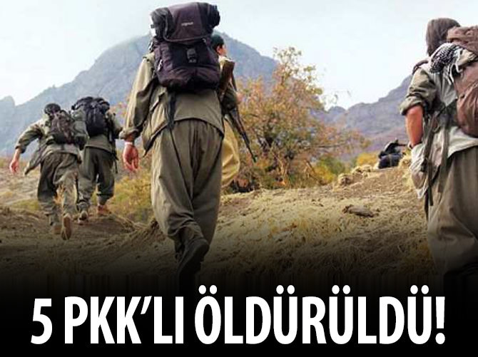 Hakkari'de 5 PKK'lı öldürüldü!