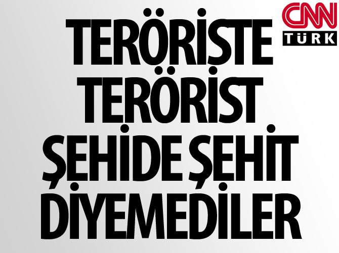 Teröriste terörist diyemediler