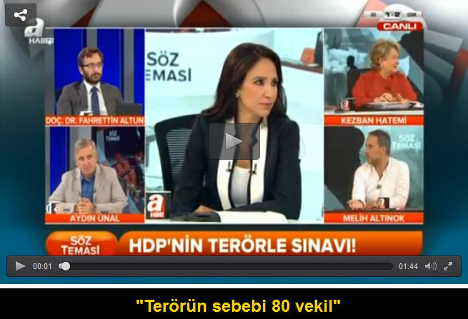 Melih Altınok: Terörün sebebi 80 vekil