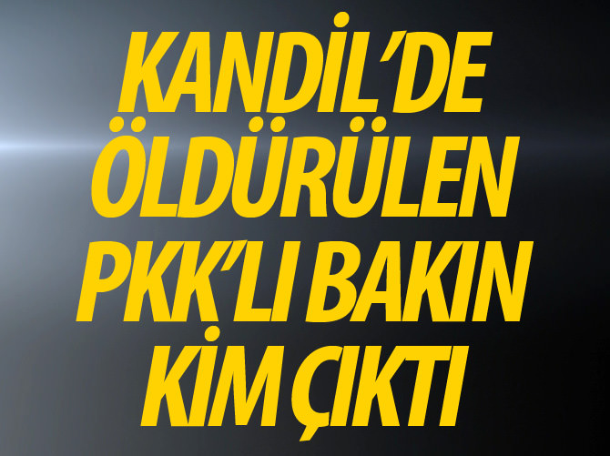Alman ajan Kandil'de öldürüldü
