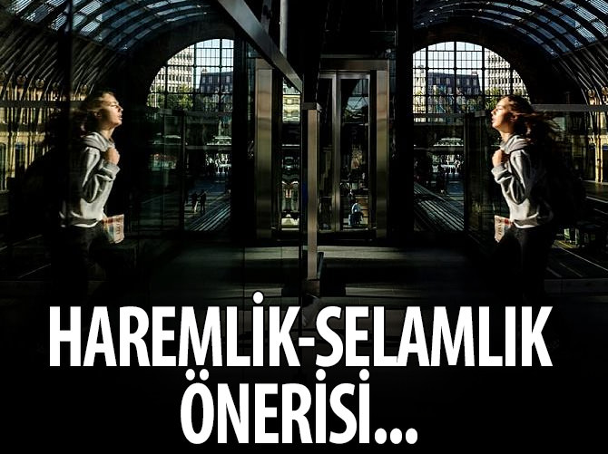 İngiltere'de 'haremlik-selamlık vagon' önerisi