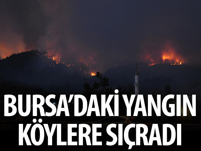 Bursa'daki yangın köylere sıçradı
