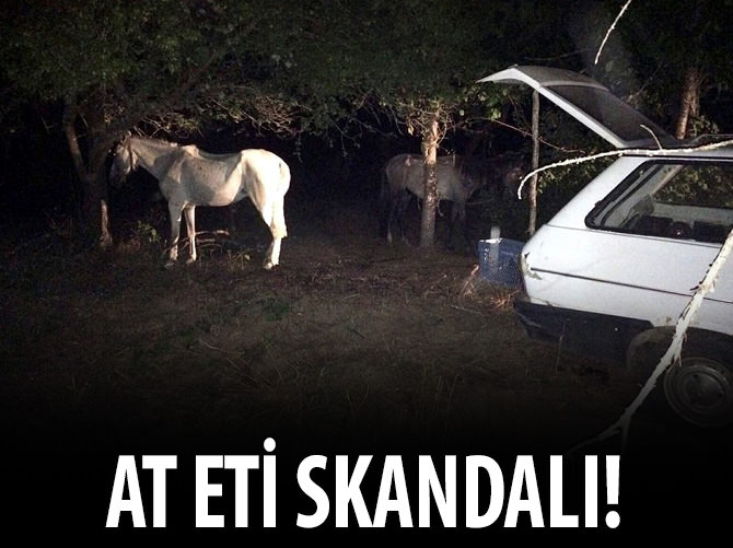 Atçılara yine suçüstü