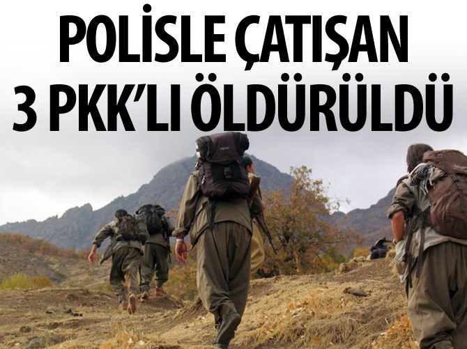 Valilik: 3 PKK'lı öldürüldü