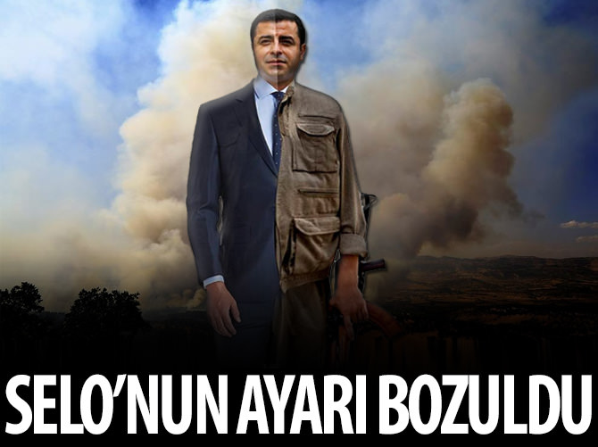 Oy Selo oy!