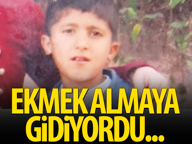 Ekmek almaya gidiyordu