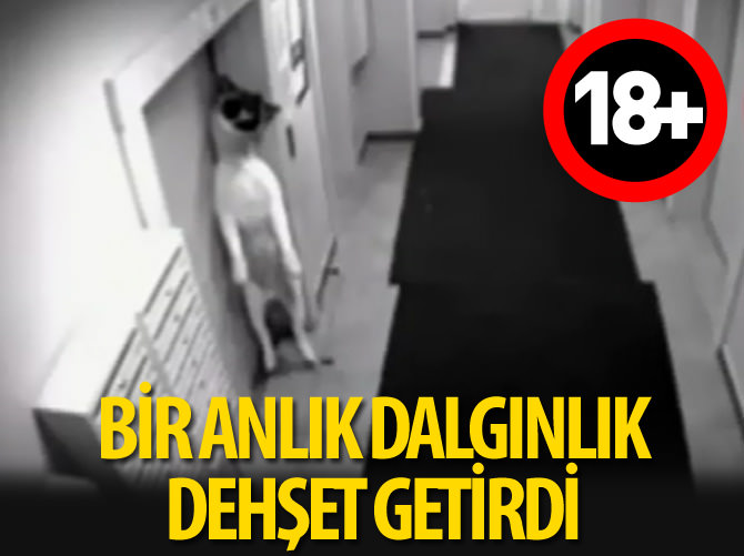 Bir anlık dalgınlığın getirdiği dehşet