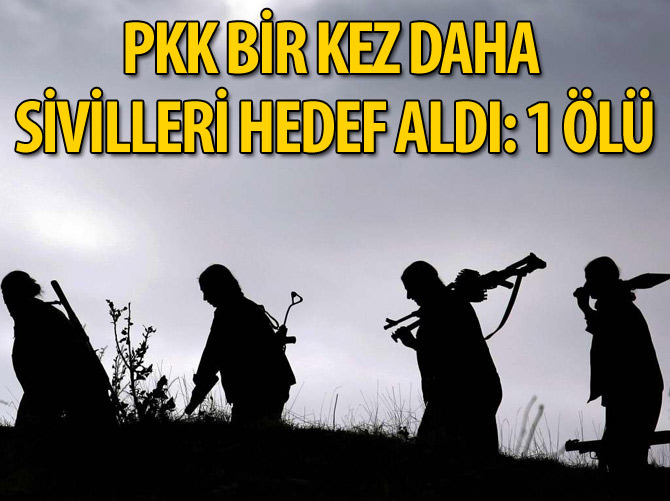 Yol kesen PKK'lılar kaçan bir kişiyi öldürdü