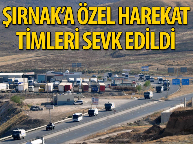 Şırnak'a özel harekat timleri sevk edildi