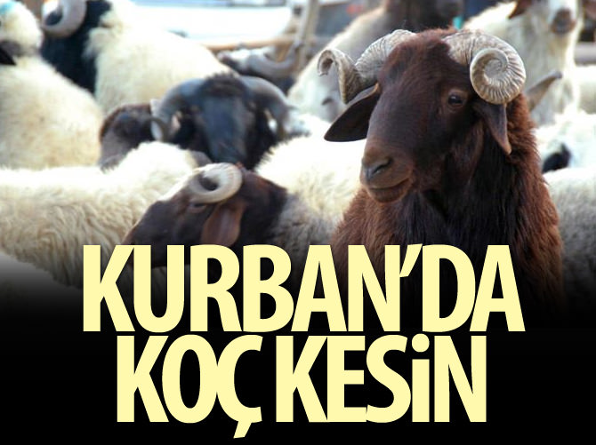 Kurbanda koç kesin