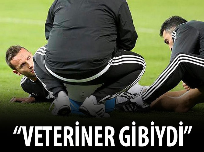 Veteriner gibiydi