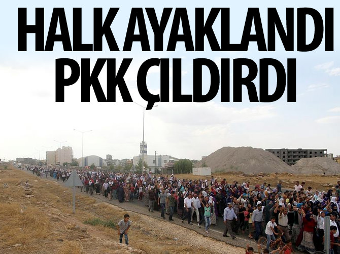Halk ayaklandı PKK çıldırdı