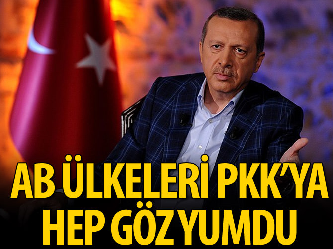 'AB ülkeleri PKK'ya hep göz yumdu'