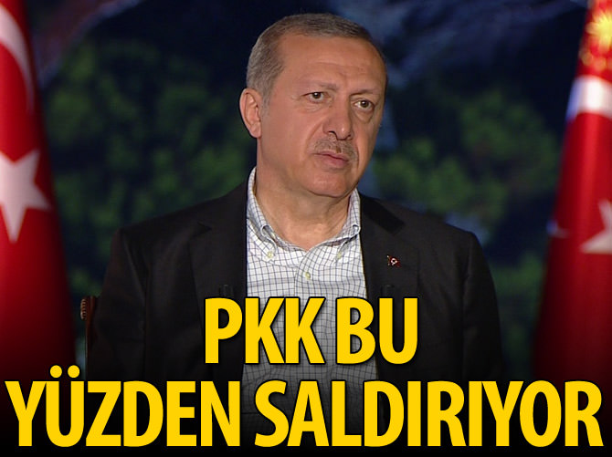 Erdoğan: PKK'nın bu süreçteki kaybı binlerle ölçülür