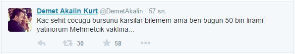 Demet Akalın şehit ailelerine büyük yardım - 2