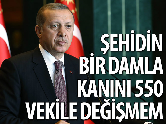 'Şehidimizin bir damla kanını 550 milletvekiline değişmeyiz'