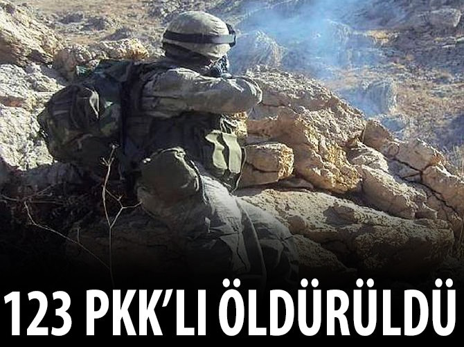 PKK'ya darbe