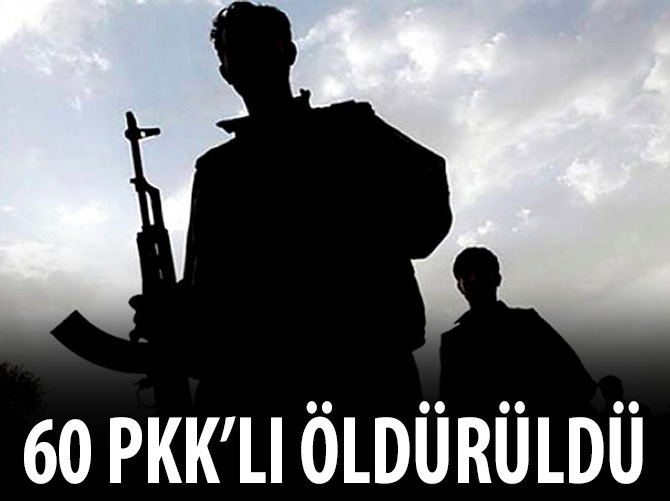 60 hain öldürüldü