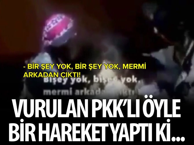İşte PKK'nın gerçek yüzü!