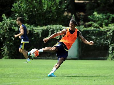 Fenerbahçe'ye Alves müjdesi