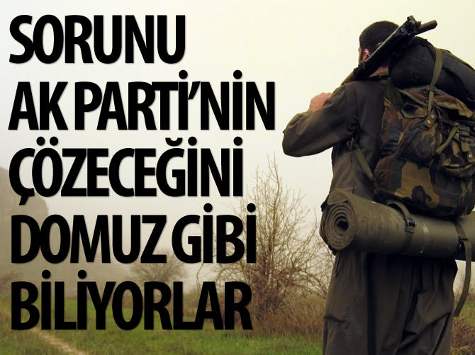 Prof. Halil Berktay: Sorunu Ak Parti'nin çözeceğini domuz gibi biliyorlar
