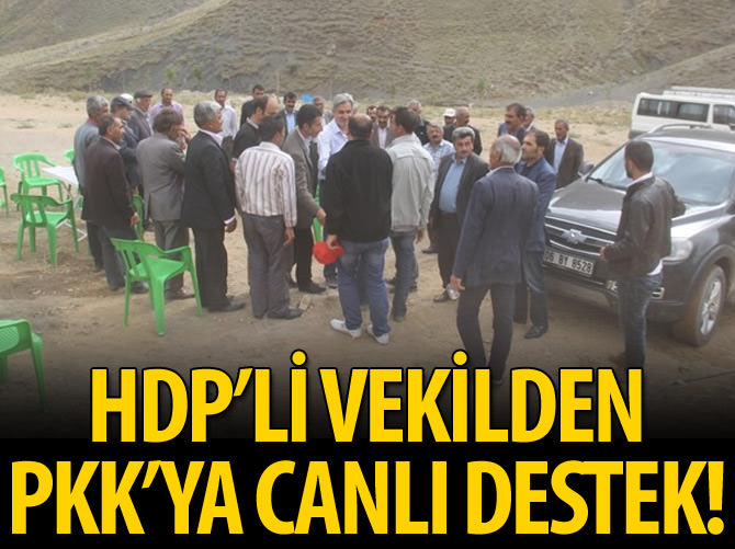 HDP'li vekilden PKK'ya 'canlı' destek