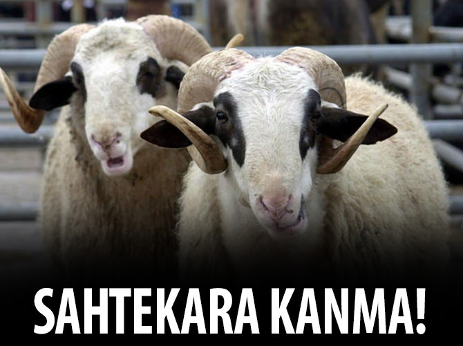 Kulağımıza küpe olsun