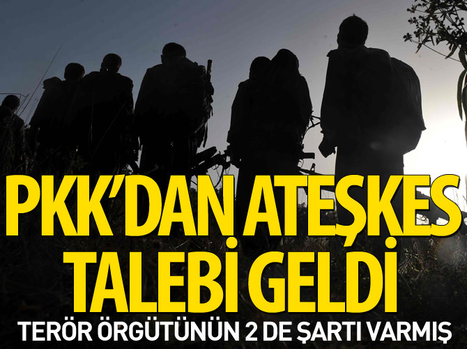 PKK’lı Mustafa Karasu: Ateşkese hazırız