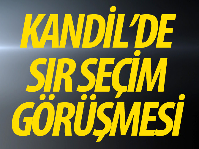 HDP heyeti Kandil'e çıkarak PKK'lılarla görüştü