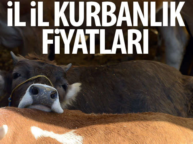 Kurbanlık fiyatları yüzde 25 arttı