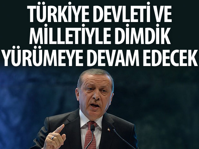 Erdoğan: Türkiye devleti ve milletiyle dimdik yürümeye devam edecek