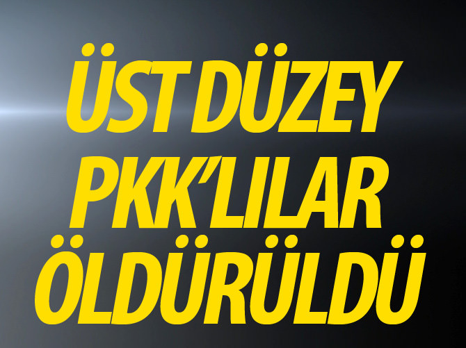 Tunceli'de üst düzey PKK'lılar öldürüldü
