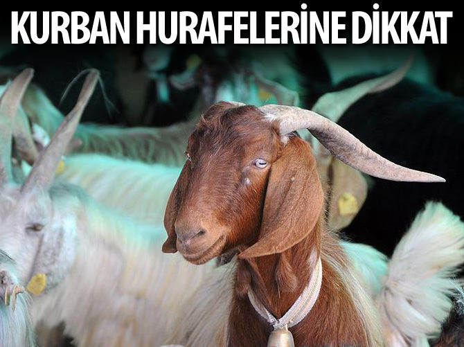 'Kurban kanını insanların alnına ve ev duvarlarına sürmenin İslam'da yeri yok'