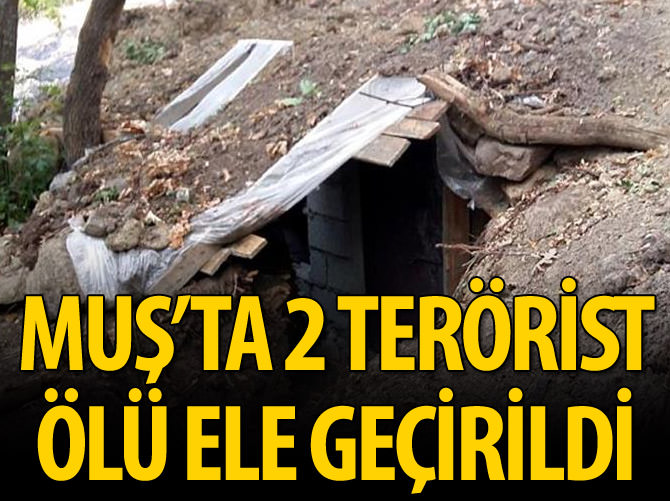 Muş'ta terör operasyonu: 2 terörist ölü ele geçirildi