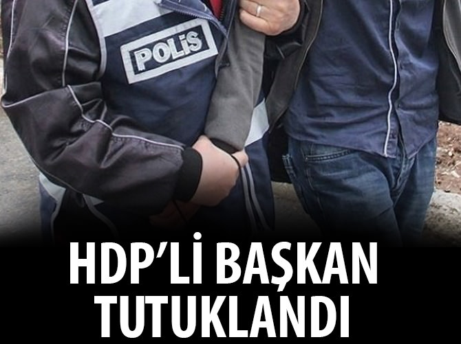HDP'li Başkan tutuklandı!
