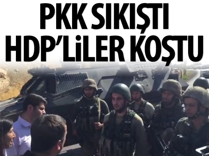 HDP, PKK’ya yardıma koştu