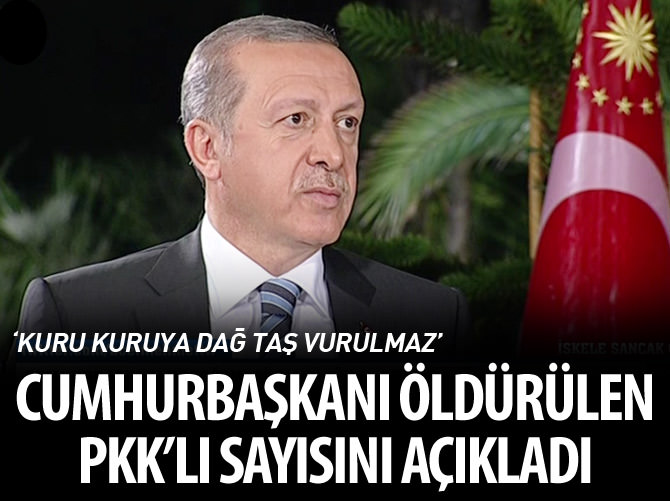 Cumhurbaşkanı Erdoğan önemli açıklamalarda bulundu