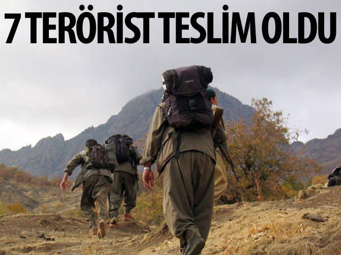 Şırnak'ta 7 terörist teslim oldu
