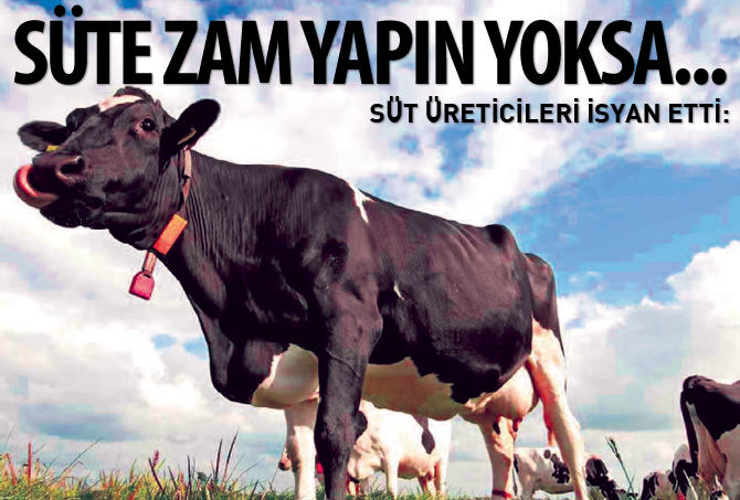 Süt üreticileri isyan etti: Süte zam yapın yoksa...